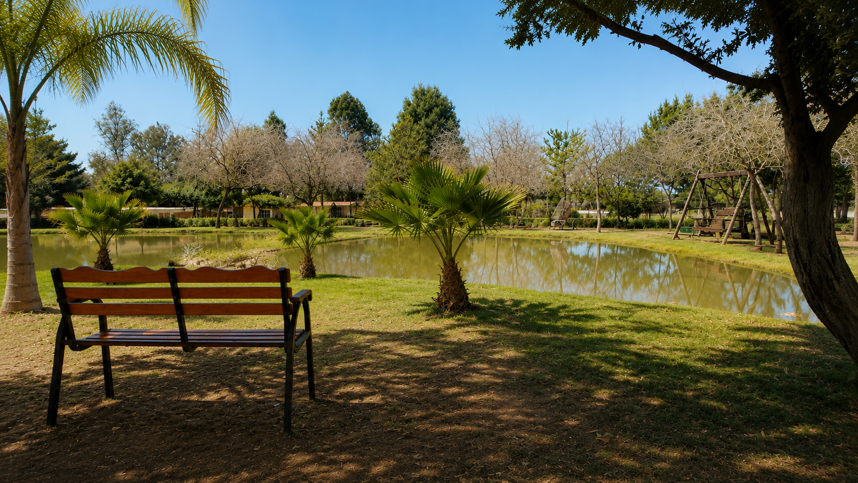 Meditación grupal