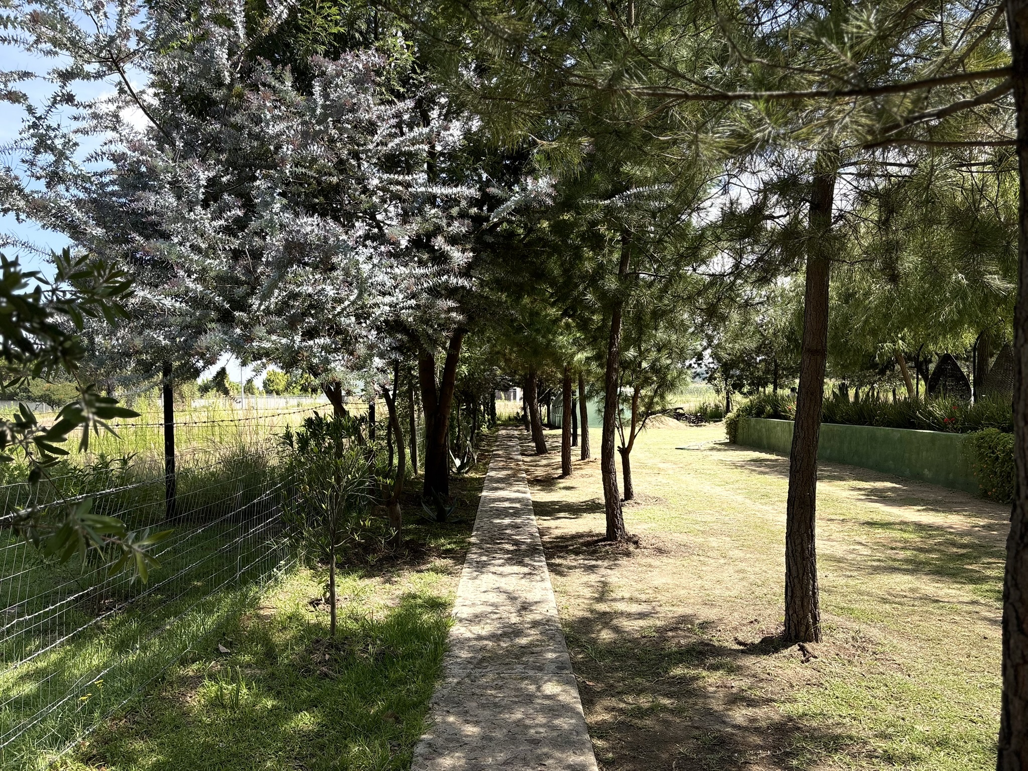 Naturaleza de Casa del Lago